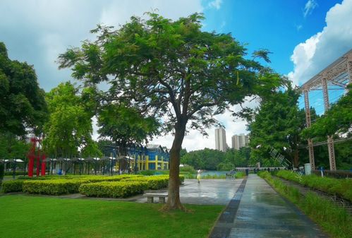 廣東中山 一座由舊廠房蝶變的獲獎公園，如何用創意點亮城市記憶？